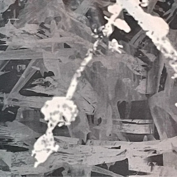 Champion Razor Back Bra - Picture 5 of 5